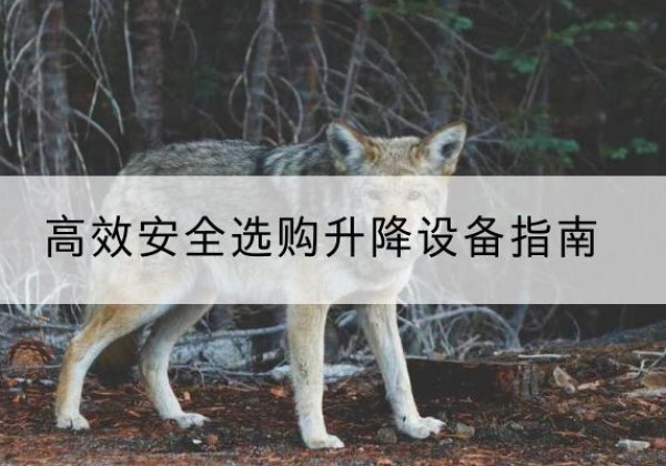 襄汾升降货梯厂家推荐-*安全选购升降设备指南