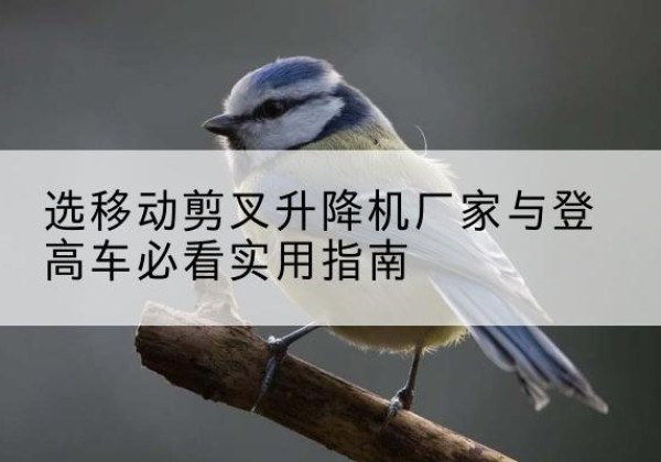 襄汾电动升降机厂家-选移动剪叉升降机厂家与登高车必看实用指南